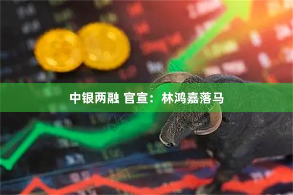 中银两融 官宣：林鸿嘉落马