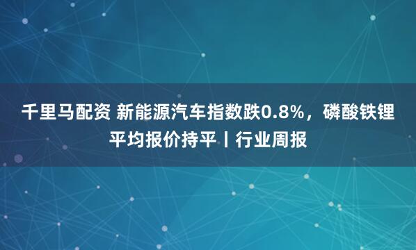 千里马配资 新能源汽车指数跌0.8%，磷酸铁锂平均报价持平丨行业周报