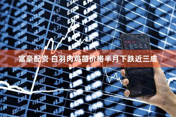 富豪配资 白羽肉鸡苗价格半月下跌近三成