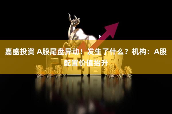 嘉盛投资 A股尾盘异动！发生了什么？机构：A股配置价值抬升
