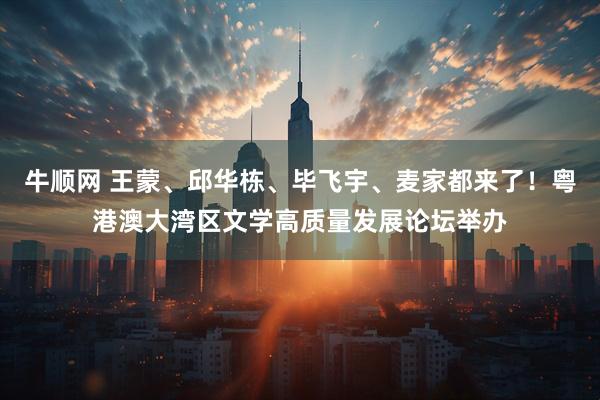 牛顺网 王蒙、邱华栋、毕飞宇、麦家都来了！粤港澳大湾区文学高质量发展论坛举办