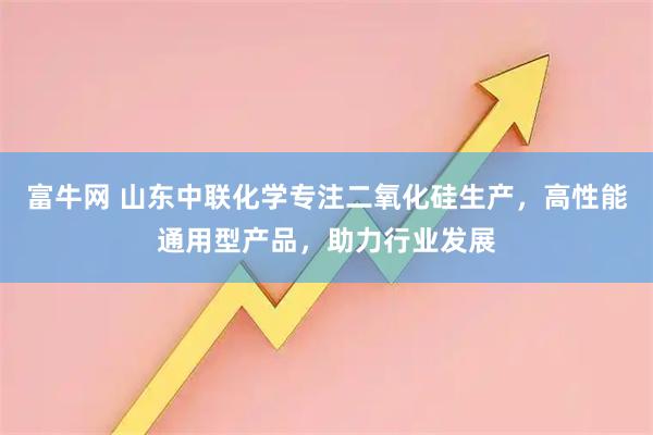 富牛网 山东中联化学专注二氧化硅生产，高性能通用型产品，助力行业发展