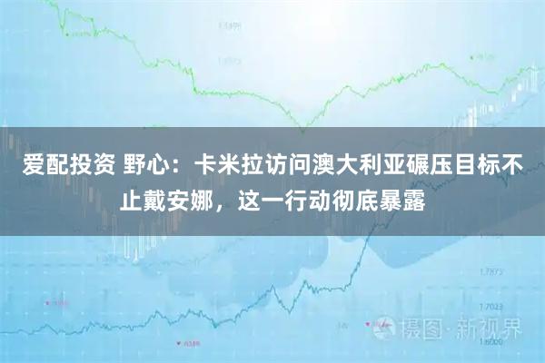 爱配投资 野心：卡米拉访问澳大利亚碾压目标不止戴安娜，这一行动彻底暴露