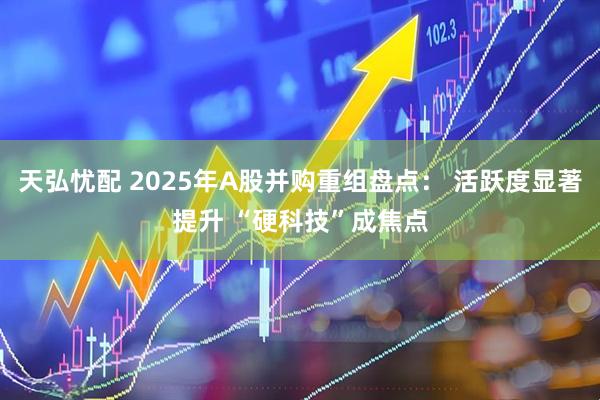 天弘忧配 2025年A股并购重组盘点: 活跃度显著提升 “硬科技”成焦点