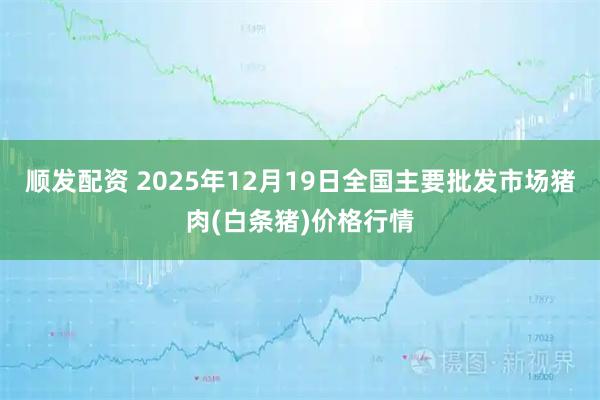 顺发配资 2025年12月19日全国主要批发市场猪肉(白条猪)价格行情