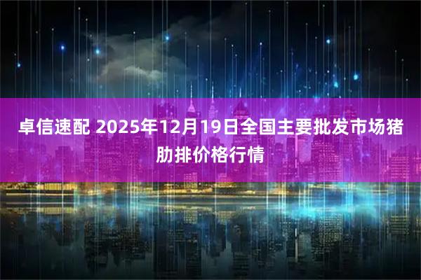 卓信速配 2025年12月19日全国主要批发市场猪肋排价格行情