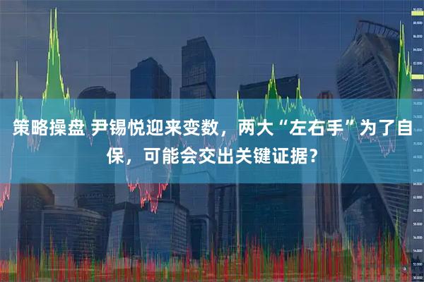 策略操盘 尹锡悦迎来变数，两大“左右手”为了自保，可能会交出关键证据？