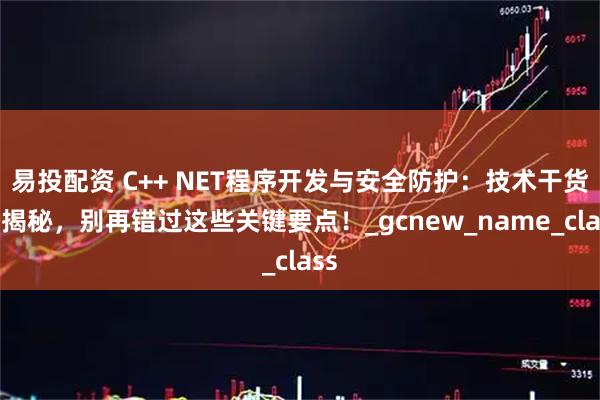 易投配资 C++ NET程序开发与安全防护：技术干货大揭秘，别再错过这些关键要点！_gcnew_name_class